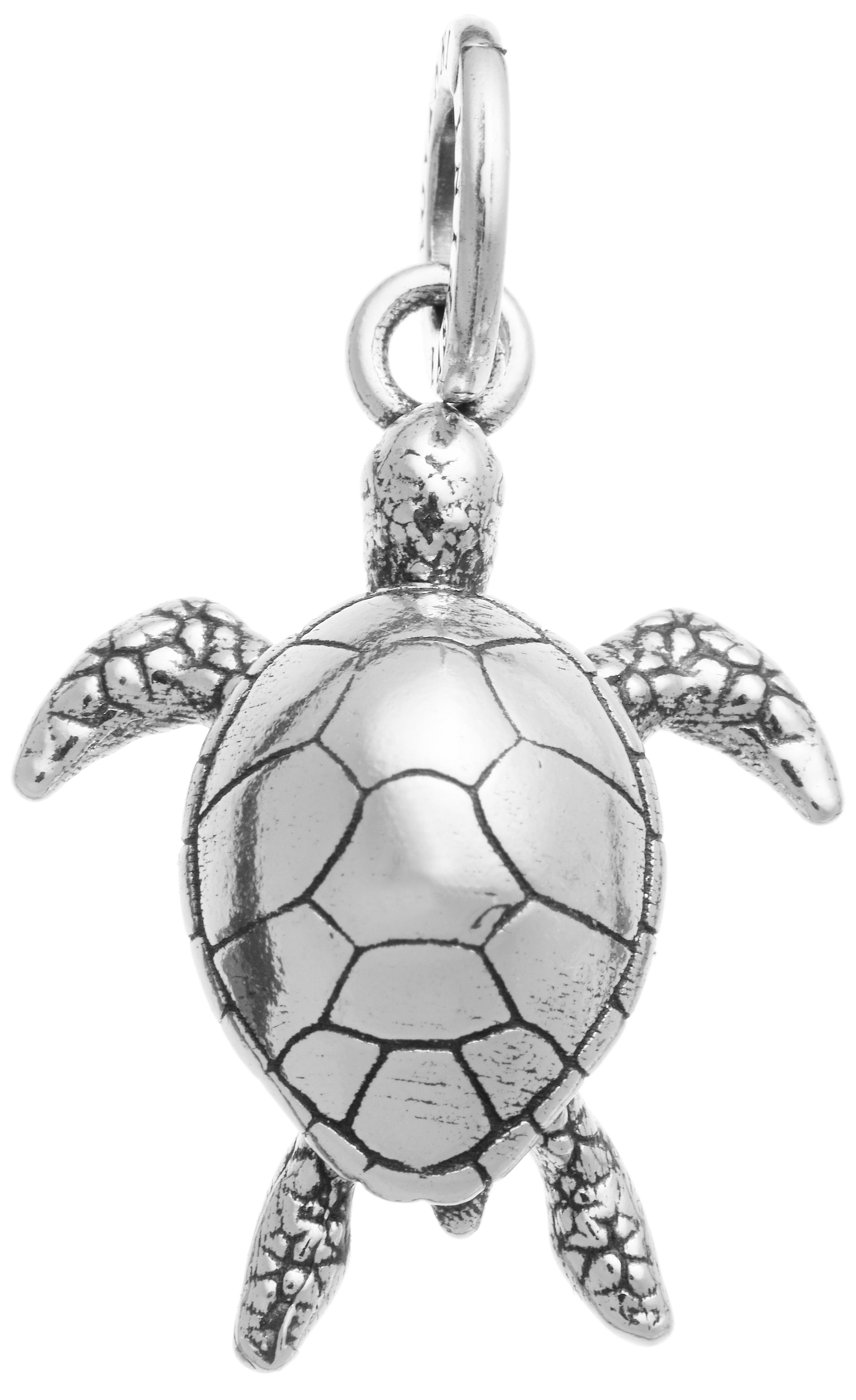 CHARM TARTARUGA MARINA